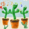 cactus toy price in Pakistan