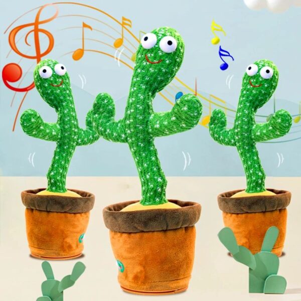 cactus toy price in Pakistan